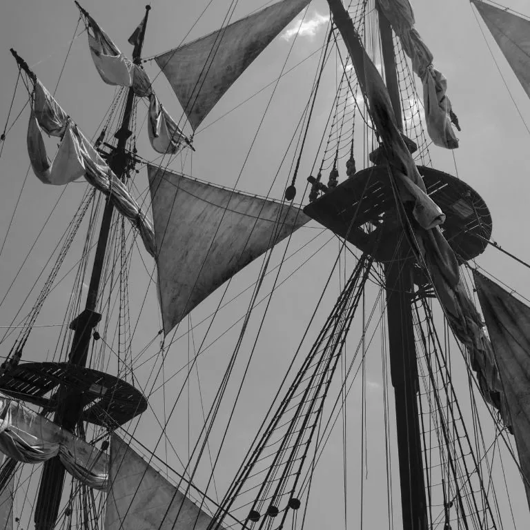 Photographie - Armada